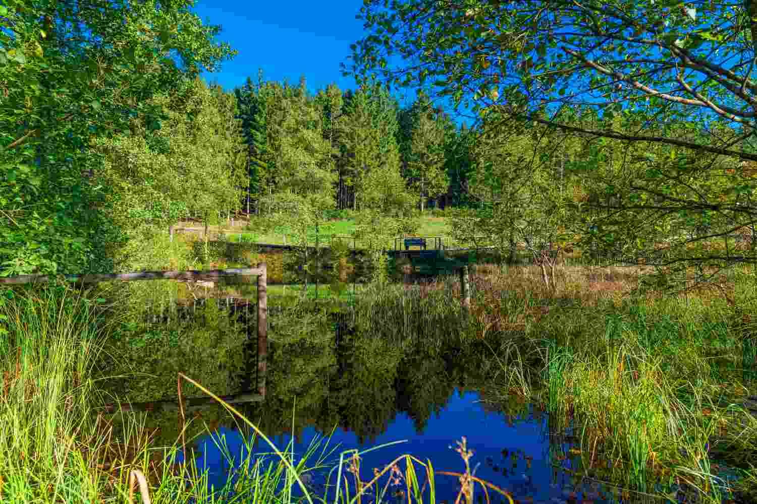 Moorpfad Ormont • Römerkanal
