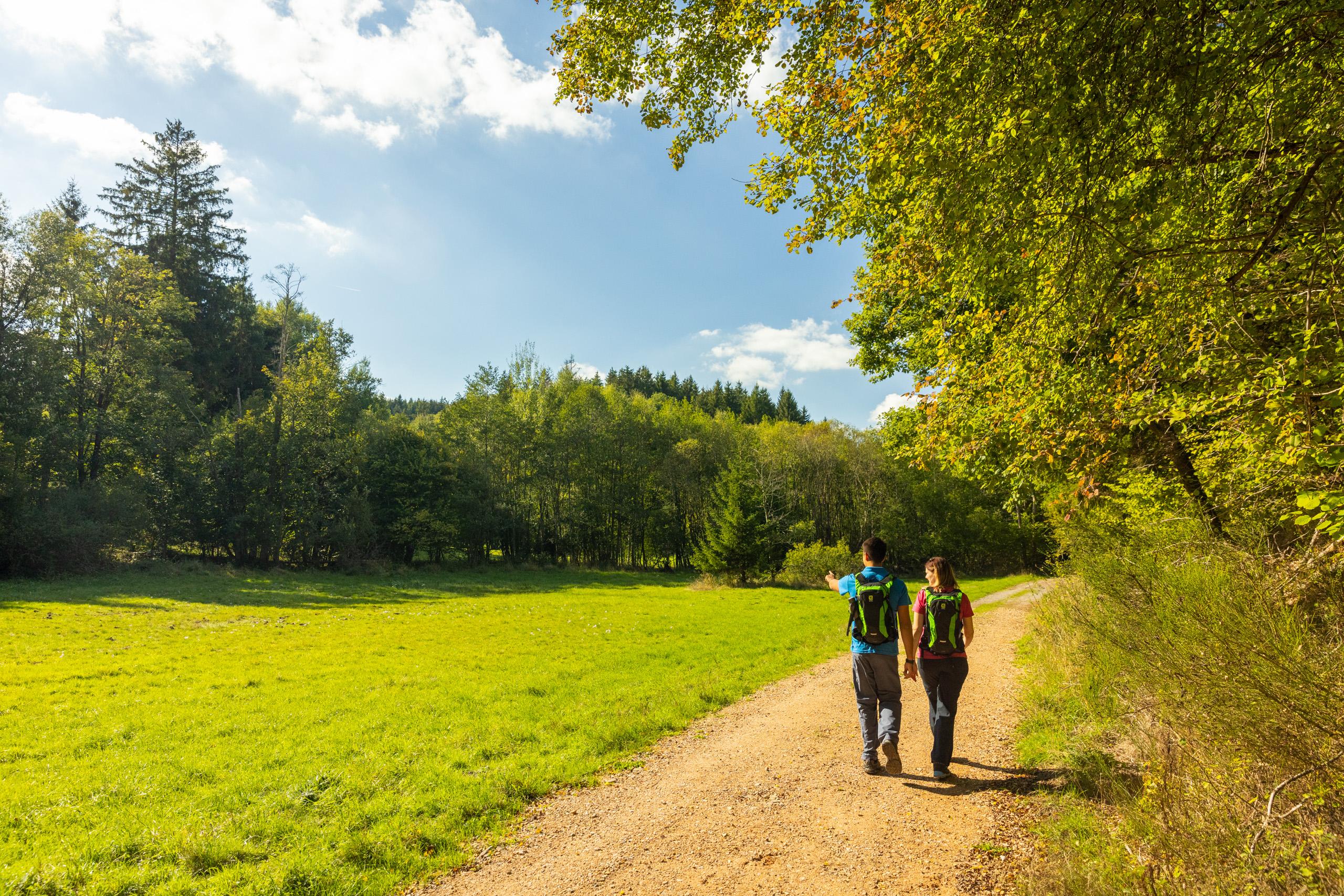 Wanderung auf dem Felsenweg B 1 von Beaufort • Römerkanal