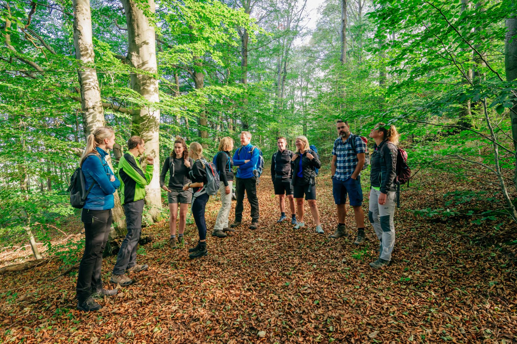 Wanderung von Holzheim rund um den Stockert • Römerkanal