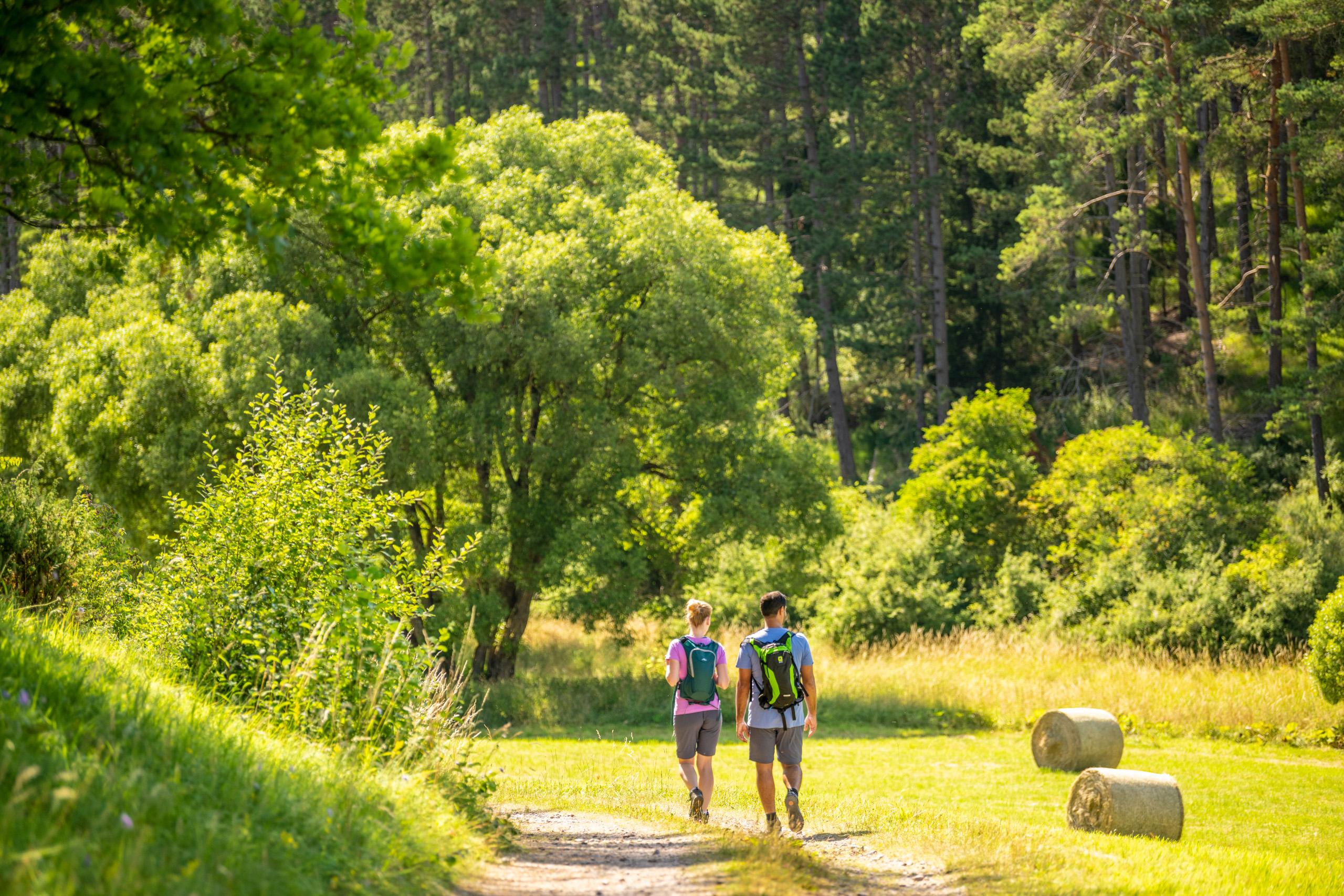 Wanderung Kaiser Karl Weg Konzen • Römerkanal