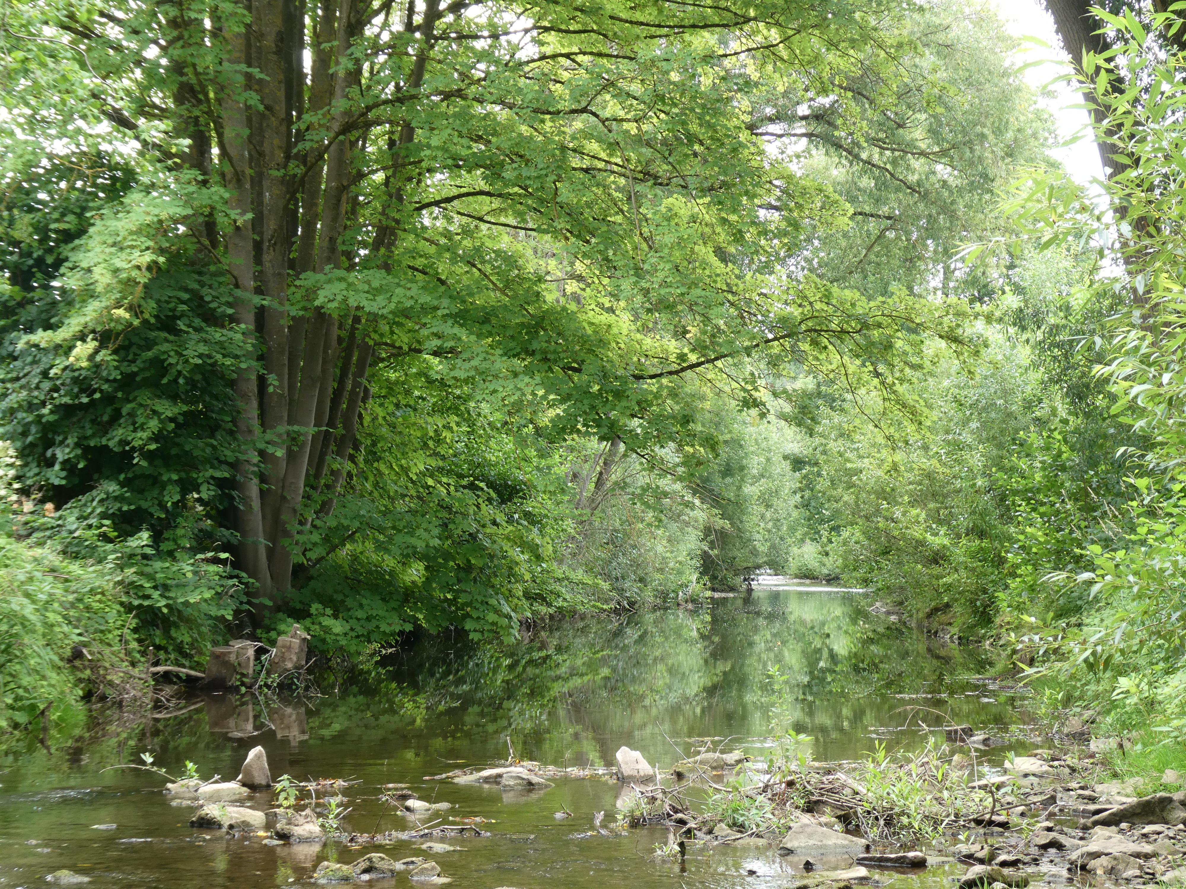 Eifel heimisch: Faszination Auen der Eifelflüsse • Römerkanal
